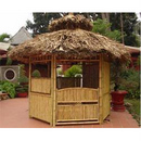 Quán bar tre cao cấp